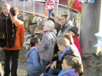 Jula_2011_347_qg