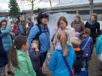 Cinderella Göppingen